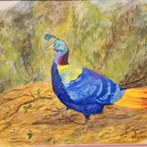 Watercolor "Closed wing, rainbow colored pheasant." Workshop