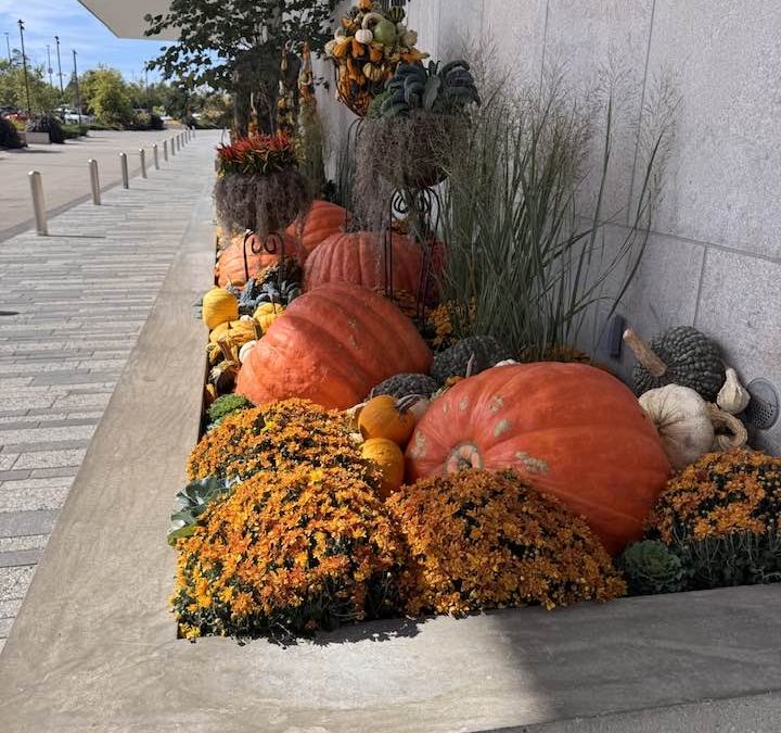 Pumpkis and SculptuPumkins at Frederic Meijer Sculpture and Gardens in Grand Rapids, Michigan.