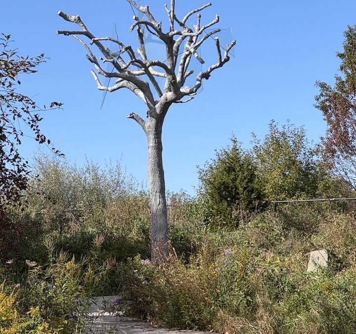 Frederic Meijer Sculpture and Gardens in Grand Rapids, Michigan.