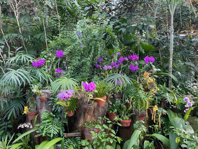 The orchid garden at the tropical section of The Meijer Sculpture Garden Pavilion